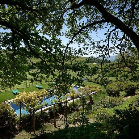 Montauto Suites Chianciano Terme Buitenkant foto